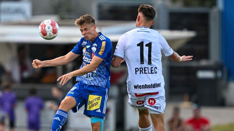 Wiener Austria remisiert in Hartberg