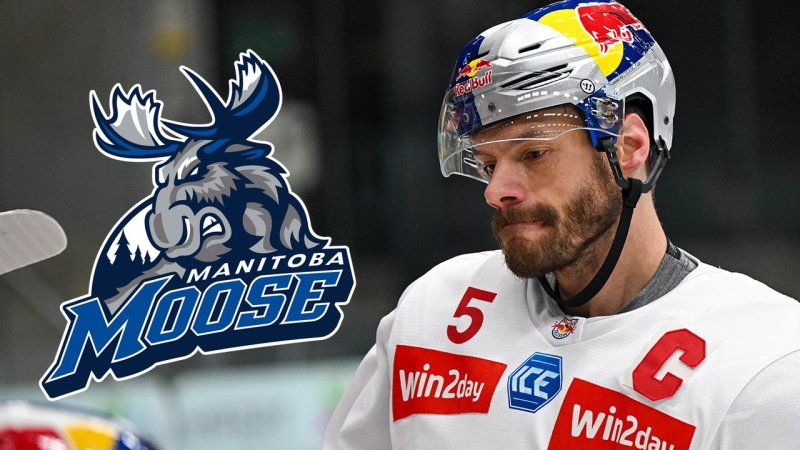 So knapp dran und doch nicht drin: AHL als Endstation