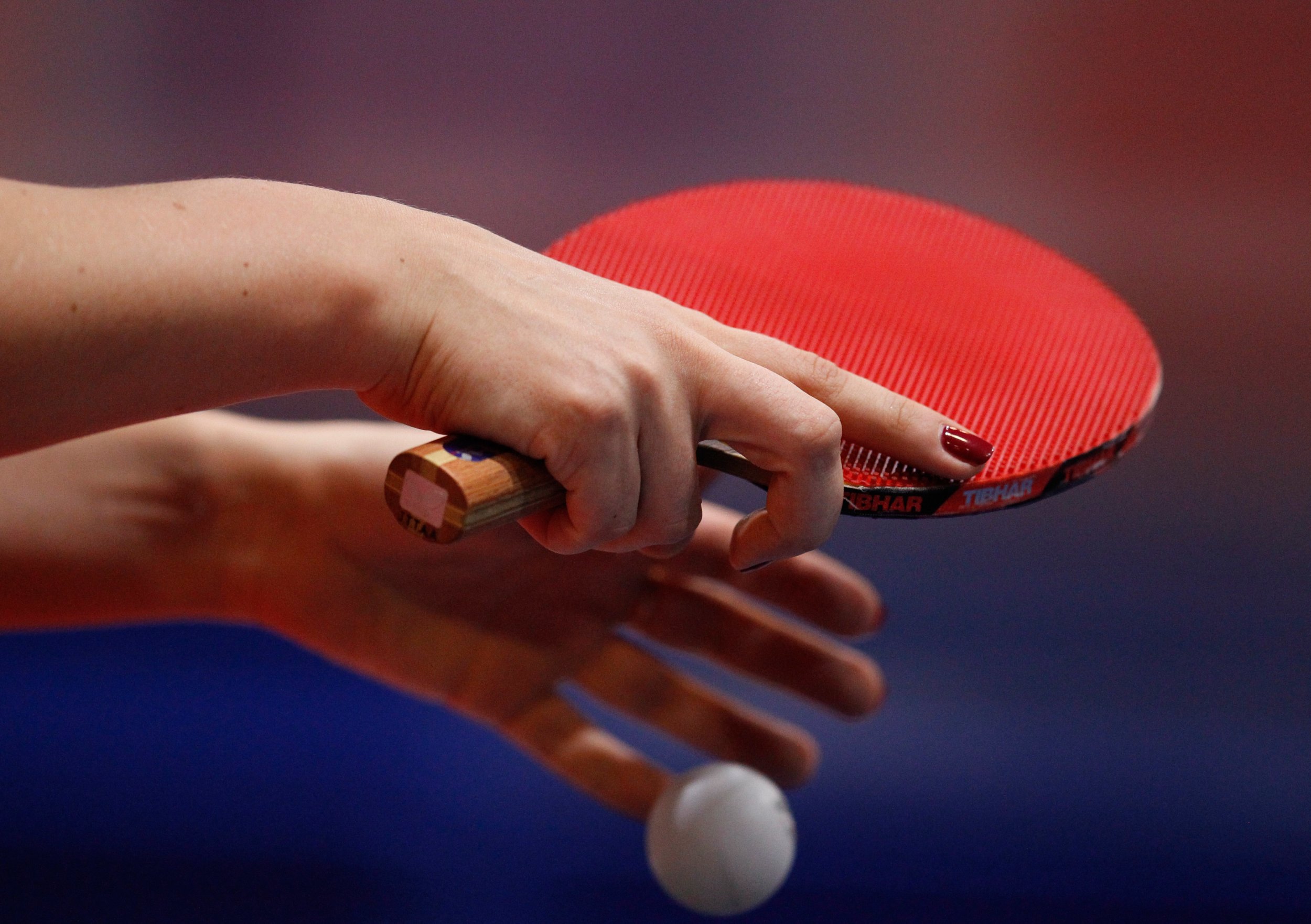 <a href='/de/daten/news/tischtennis/tischtennis/' class='tag'>Tischtennis</a>: Wels zieht ins Halbfinale des Europe Cups ein