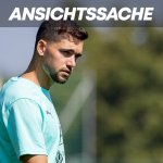 These: Rangnick kann in Zukunft nicht auf Stöger verzichten