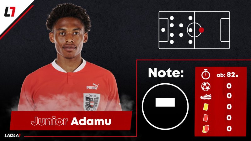 Die Einzelkritik zum NL-Match Slowenien gegen Österreich