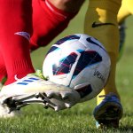 Eklat im Wiener Unterhaus: Abbruch nach Attacke auf Referee