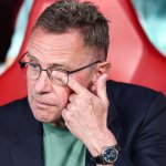 Nur nicht wieder österreichern