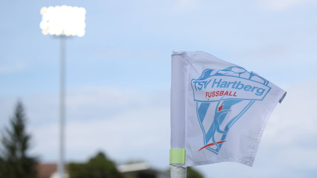 Über 70 Bewerbungen: Reges Interesse an Hartberg-Trainerjob