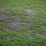 Wegen Unwetter: Fast alle Regionalliga-Spiele abgesagt