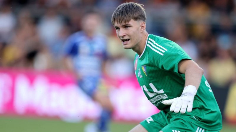 Lafnitz-Torhüter erleidet erneut einen Kreuzbandriss