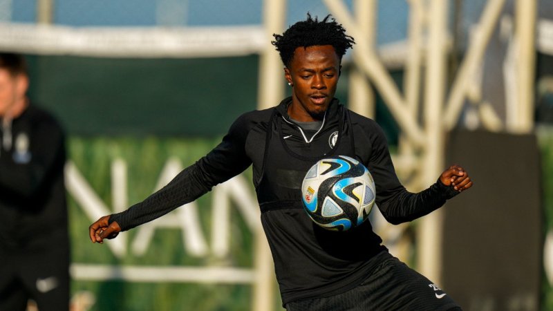 Was wurde aus...? So schlagen sich die Sturm-Abgänge