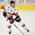 Pioneers feiern gegen Fehérvár ersten Saisonsieg