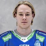 VSV verstärkt sich mit jungem Defensivakteur