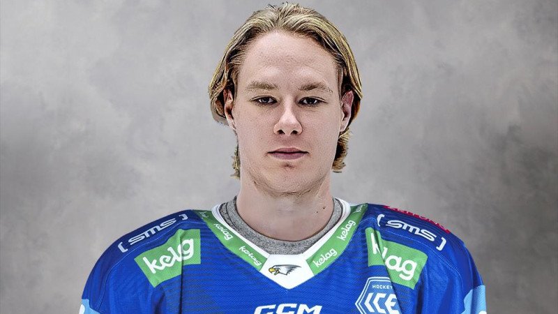 <a href='/de/daten/news/eishockey/vsv/' class='tag'>VSV</a> verstärkt sich mit jungem Defensivakteur