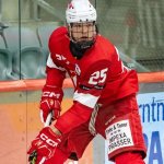 ÖEHV-Talent debütiert in Schwedens Top-Liga