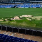 Zu viele Spenden! AFC Wimbledon will Fan-Aktion stoppen