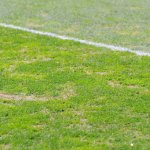 Wilde Szenen! Schlägerei bei Mitgliederversammlung in Türkei