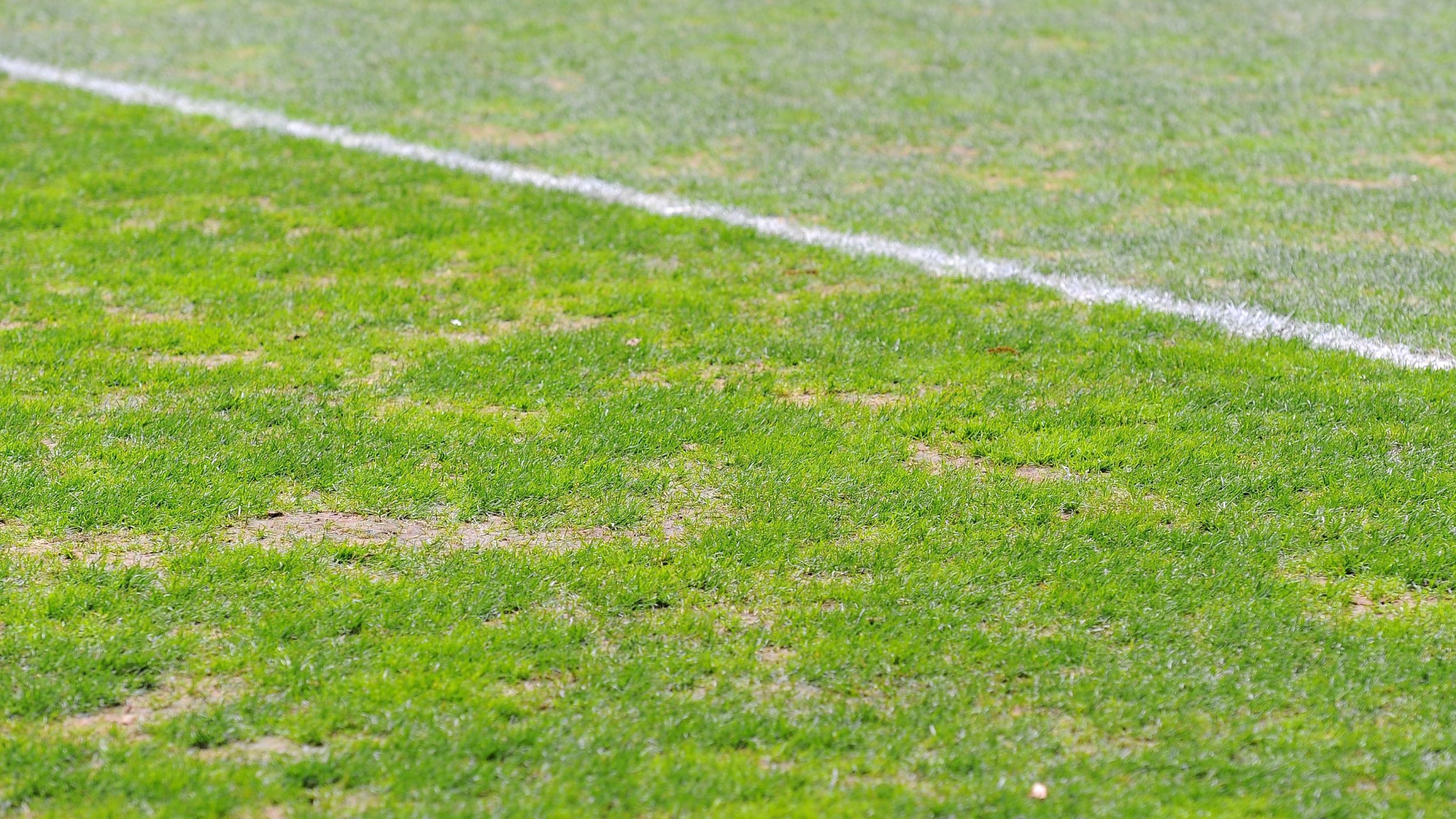 Wilde Szenen! Schlägerei bei Mitgliederversammlung in Türkei