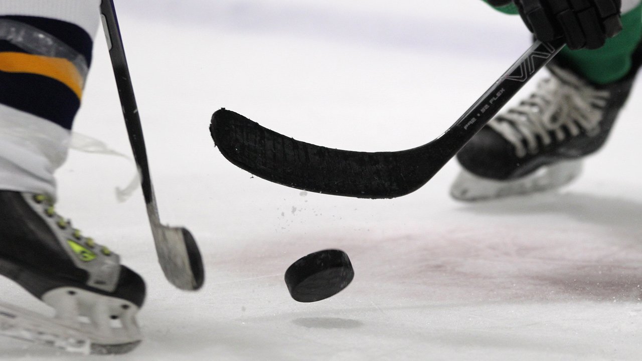 National League im LIVE-Stream: <a href='/de/daten/news/eishockey/zsc-lions/' class='tag'>ZSC Lions</a> - SC Bern