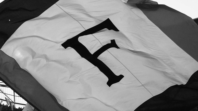 Diese Österreicher waren bei Feyenoord Rotterdam tätig