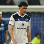 Not-Transfer: WSG Tirol verpflichtet Ex-HSV-Verteidiger