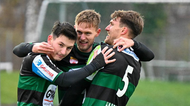 12 Vereine im Minus! Die Finanzzahlen Österreichs Profiklubs