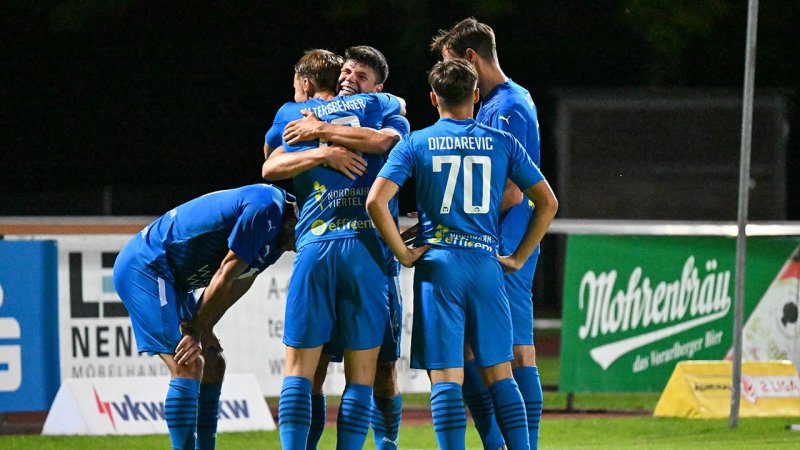 12 Vereine im Minus! Die Finanzzahlen Österreichs Profiklubs