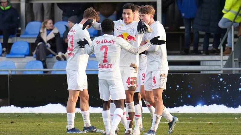 12 Vereine im Minus! Die Finanzzahlen Österreichs Profiklubs