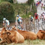 Nicht in Spanien! Hier beginnt 2025 die Vuelta