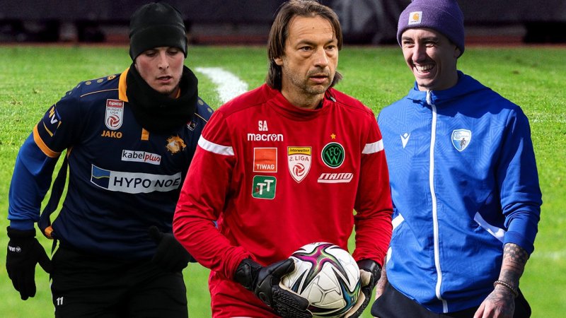 Diese Ex-Stars tummeln sich derzeit in Österreichs Unterhaus