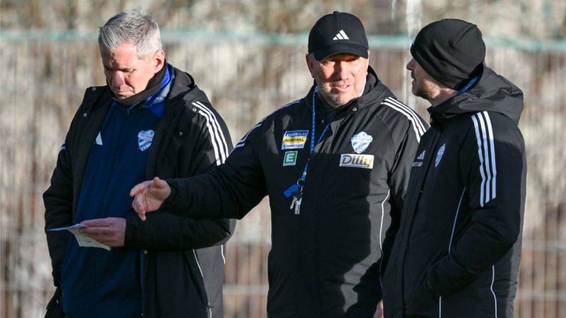 TSV Hartberg verpflichtet Youngster vom Wiener Sportclub