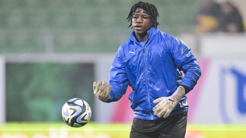 Austria-Torhüter schließt sich Admira Wacker an