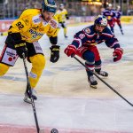 Capitals nähern sich dem Pre-Playoff, Pioneers straucheln