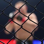 LIVE-Stream: Die Vendetta Fight Night 43