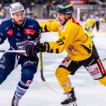 Capitals gegen Fehervar! Das sind die Pre-Playoff-Paarungen