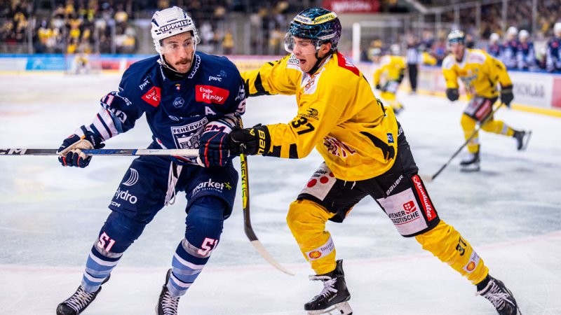 Capitals gegen Fehervar! Das sind die Pre-Playoff-Paarungen