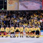 Die Zuschauer-Magnete der ICE Hockey League 2024/25