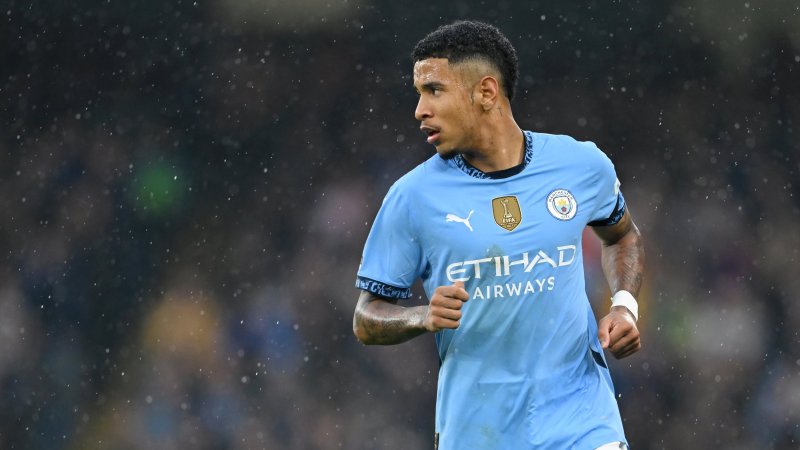 Die "Schattenstars" des Fußballs: Ist Stöger weltklasse?