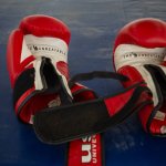 IOC erkennt World Boxing vorläufig an